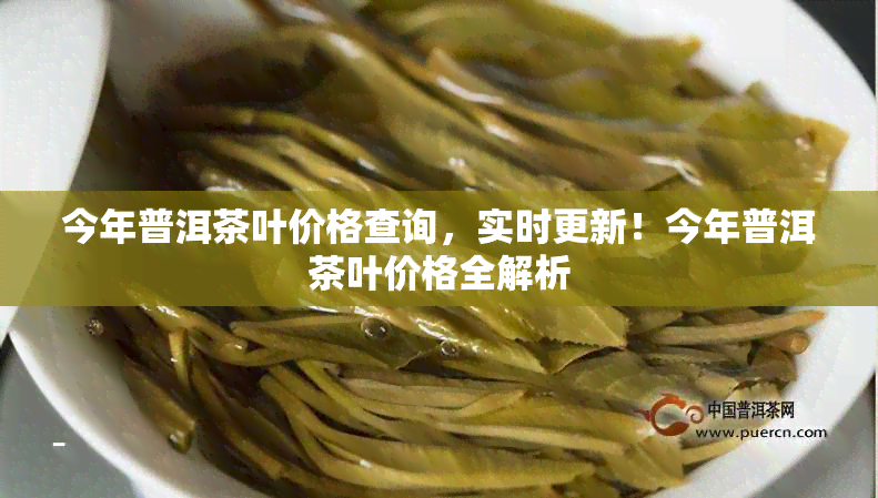 今年普洱茶叶价格查询，实时更新！今年普洱茶叶价格全解析