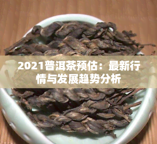 2021普洱茶预估：最新行情与发展趋势分析