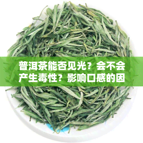 普洱茶能否见光？会不会产生性？影响口感的因素是什么？