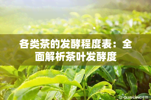 各类茶的发酵程度表：全面解析茶叶发酵度