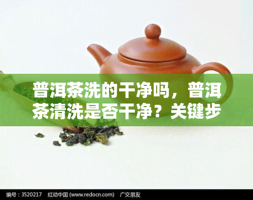 普洱茶洗的干净吗，普洱茶清洗是否干净？关键步骤解析