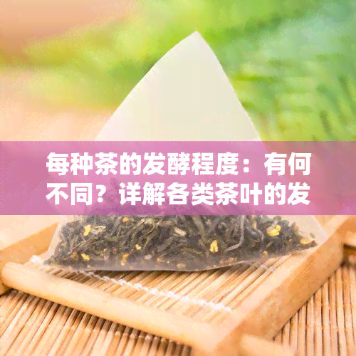 每种茶的发酵程度：有何不同？详解各类茶叶的发酵程度