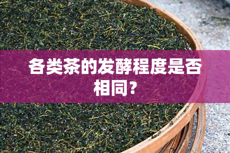 各类茶的发酵程度是否相同？