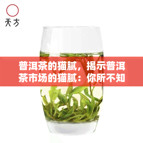 普洱茶的猫腻，揭示普洱茶市场的猫腻：你所不知道的真相