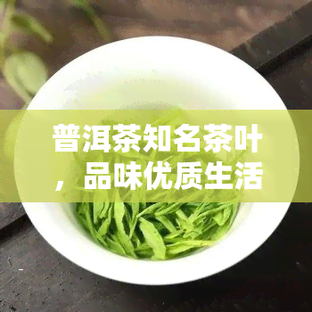 普洱茶知名茶叶，品味优质生活：探索普洱茶知名茶叶的世界