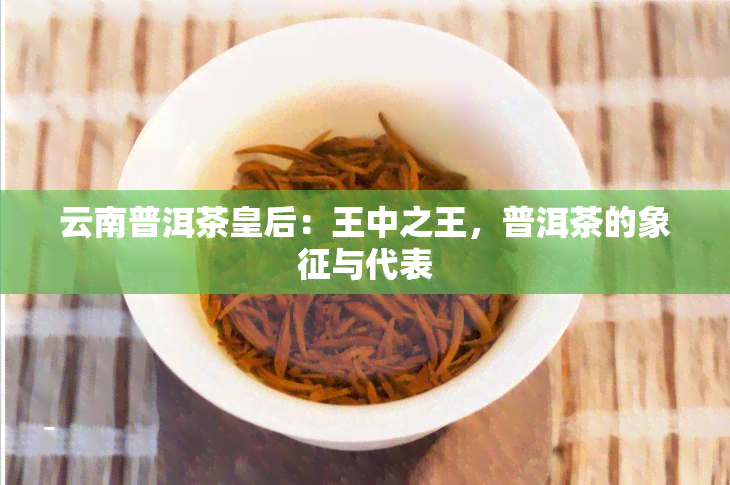 云南普洱茶皇后：王中之王，普洱茶的象征与代表