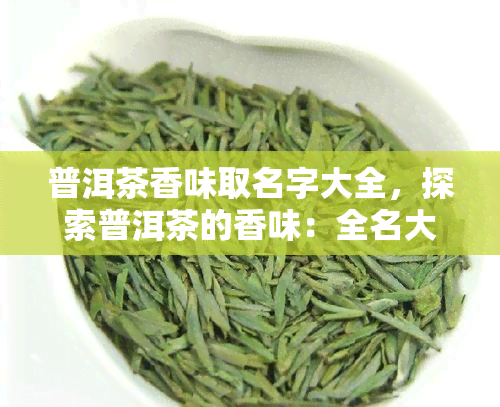 普洱茶香味取名字大全，探索普洱茶的香味：全名大揭秘