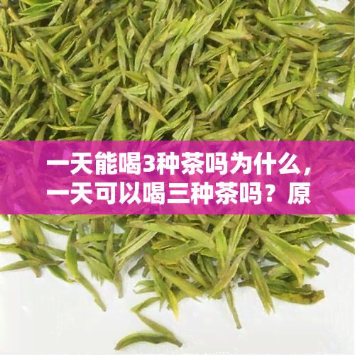 一天能喝3种茶吗为什么，一天可以喝三种茶吗？原因解析