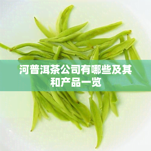 河普洱茶公司有哪些及其和产品一览