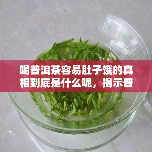 喝普洱茶容易肚子饿的真相到底是什么呢，揭示普洱茶易导致饥饿感的真相