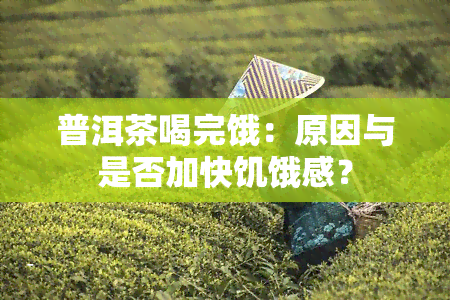 普洱茶喝完饿：原因与是否加快饥饿感？