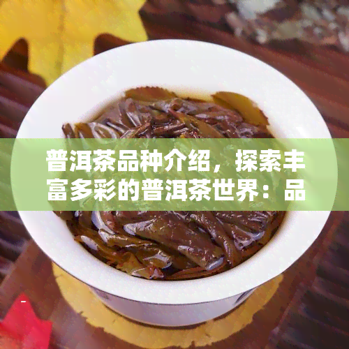 普洱茶品种介绍，探索丰富多彩的普洱茶世界：品种介绍与品尝指南