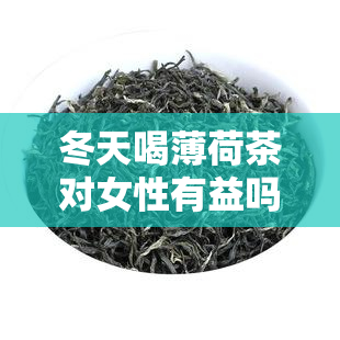 冬天喝薄荷茶对女性有益吗？探讨其在寒冷节的功效与注意事