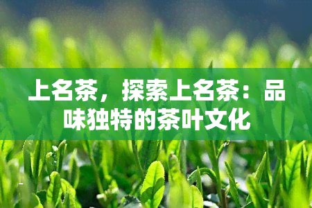 上名茶，探索上名茶：品味独特的茶叶文化