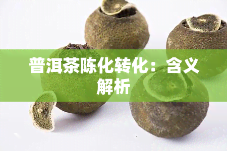 普洱茶陈化转化：含义解析