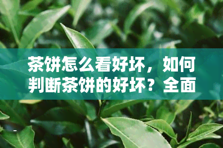 茶饼怎么看好坏，如何判断茶饼的好坏？全面解析选购技巧