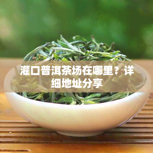 灌口普洱茶场在哪里？详细地址分享