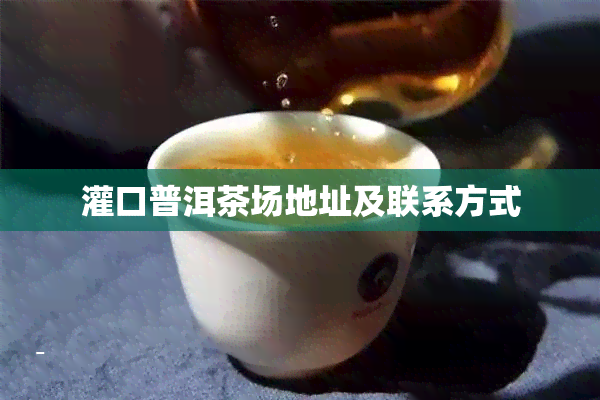 灌口普洱茶场地址及联系方式