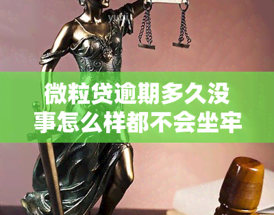 微粒贷逾期多久没事怎么样都不会坐牢的!，谣言粉碎机：微粒贷逾期不会导致坐牢，真相揭秘！