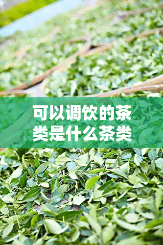 可以调饮的茶类是什么茶类？绿茶、红茶、乌龙茶还是黄茶？