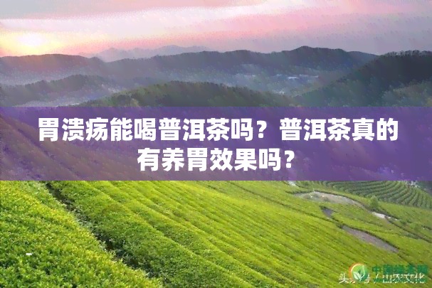 胃溃疡能喝普洱茶吗？普洱茶真的有养胃效果吗？