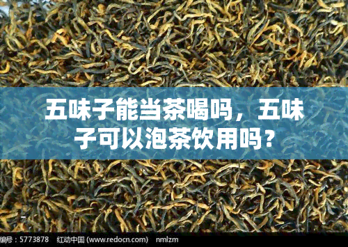 五味子能当茶喝吗，五味子可以泡茶饮用吗？