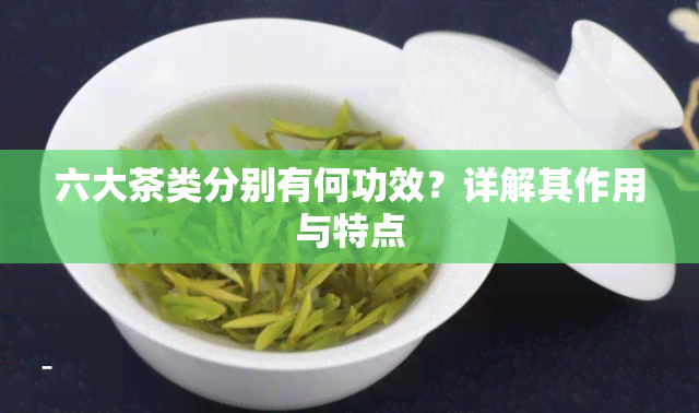 六大茶类分别有何功效？详解其作用与特点