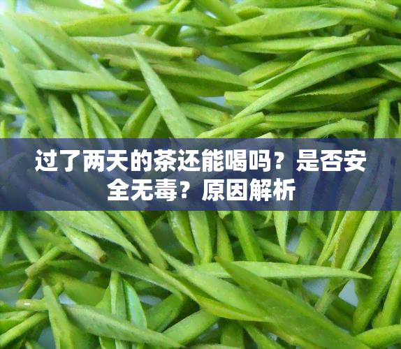 过了两天的茶还能喝吗？是否安全无？原因解析