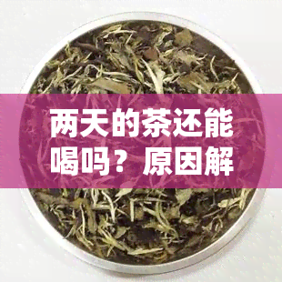 两天的茶还能喝吗？原因解析