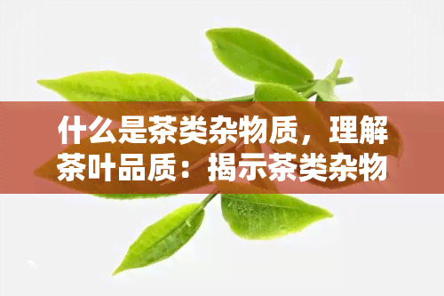 什么是茶类杂物质，理解茶叶品质：揭示茶类杂物质的含义与影响