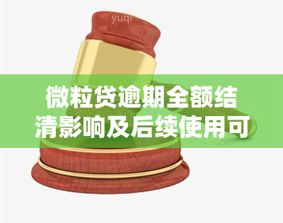 微粒贷逾期全额结清影响及后续使用可能性解析