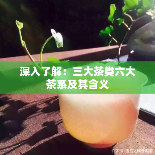 深入了解：三大茶类六大茶系及其含义