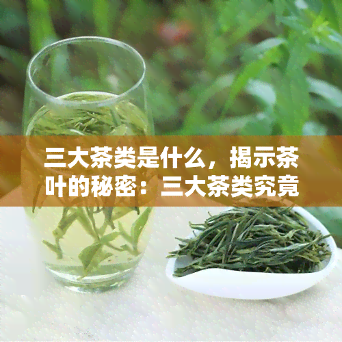 三大茶类是什么，揭示茶叶的秘密：三大茶类究竟是什么？