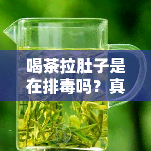 喝茶拉肚子是在排吗？真相揭示：拉肚子并非免疫力强，喝红茶为何也会导致腹泻？