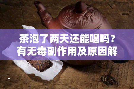 茶泡了两天还能喝吗？有无副作用及原因解析