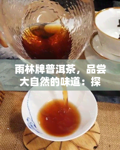 雨林牌普洱茶，品尝大自然的味道：探索雨林牌普洱茶的魅力