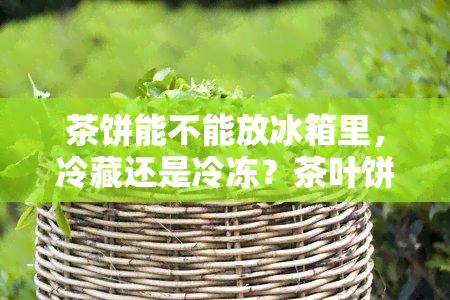 茶饼能不能放冰箱里，冷藏还是冷冻？茶叶饼的正确保存方法