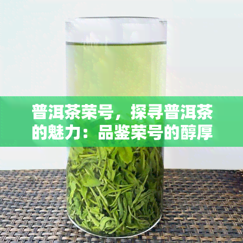 普洱茶荣号，探寻普洱茶的魅力：品鉴荣号的醇厚口感