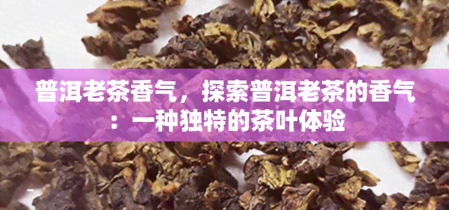 普洱老茶香气，探索普洱老茶的香气：一种独特的茶叶体验