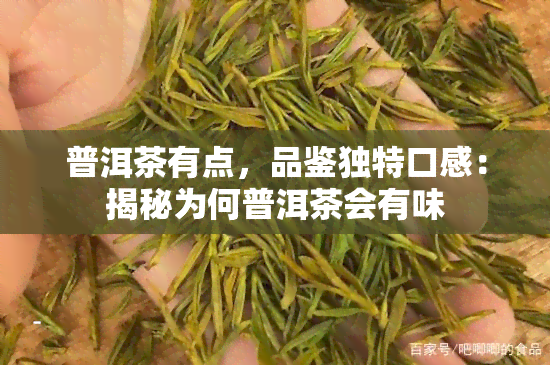 普洱茶有点，品鉴独特口感：揭秘为何普洱茶会有味