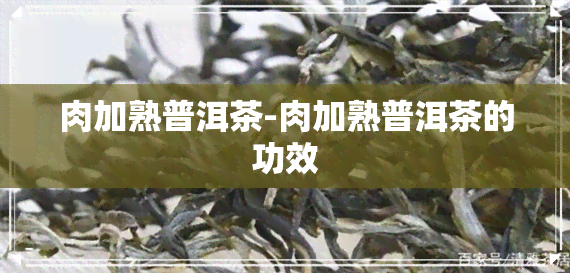 肉加熟普洱茶-肉加熟普洱茶的功效