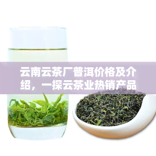 云南云茶厂普洱价格及介绍，一探云茶业热销产品