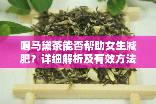 喝马黛茶能否帮助女生减肥？详细解析及有效方法