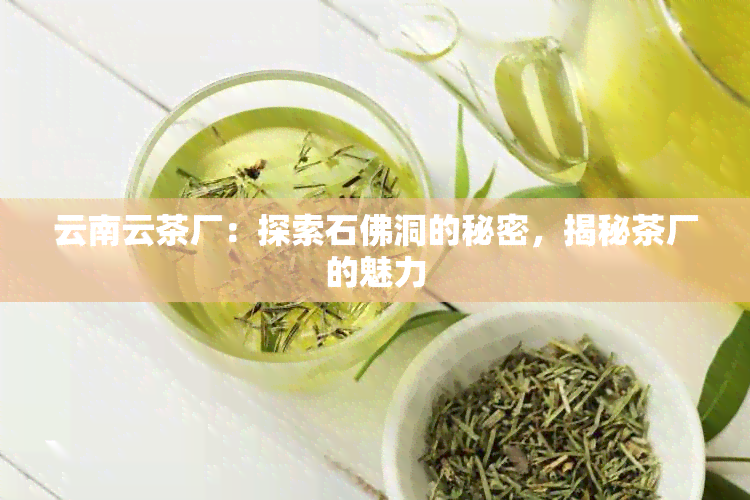 云南云茶厂：探索石佛洞的秘密，揭秘茶厂的魅力