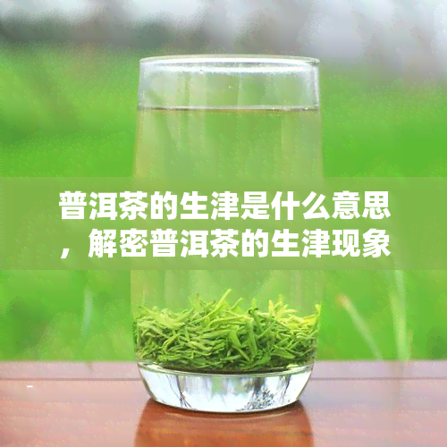 普洱茶的生津是什么意思，解密普洱茶的生津现象：你所不知道的秘密