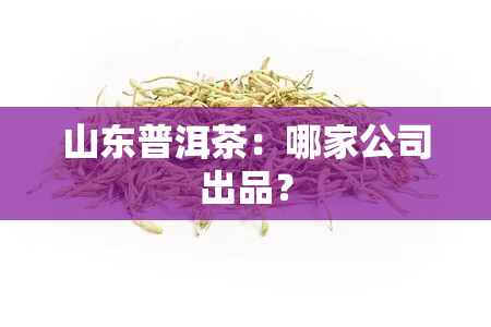 山东普洱茶：哪家公司出品？