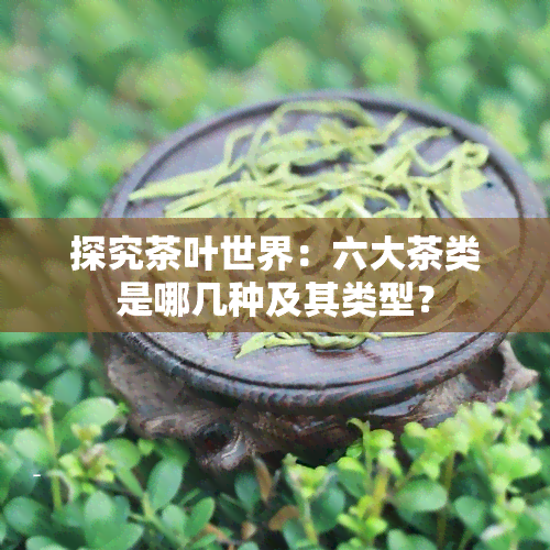 探究茶叶世界：六大茶类是哪几种及其类型？