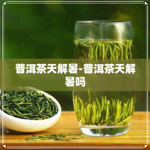 普洱茶天解暑-普洱茶天解暑吗