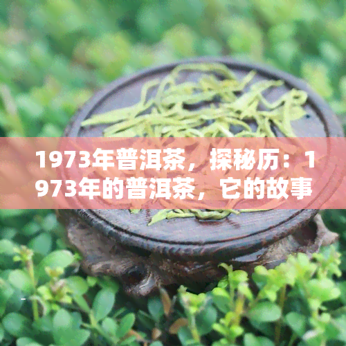 1973年普洱茶，探秘历：1973年的普洱茶，它的故事和风味