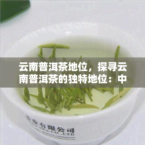 云南普洱茶地位，探寻云南普洱茶的独特地位：中国茶叶的一颗璀璨明珠